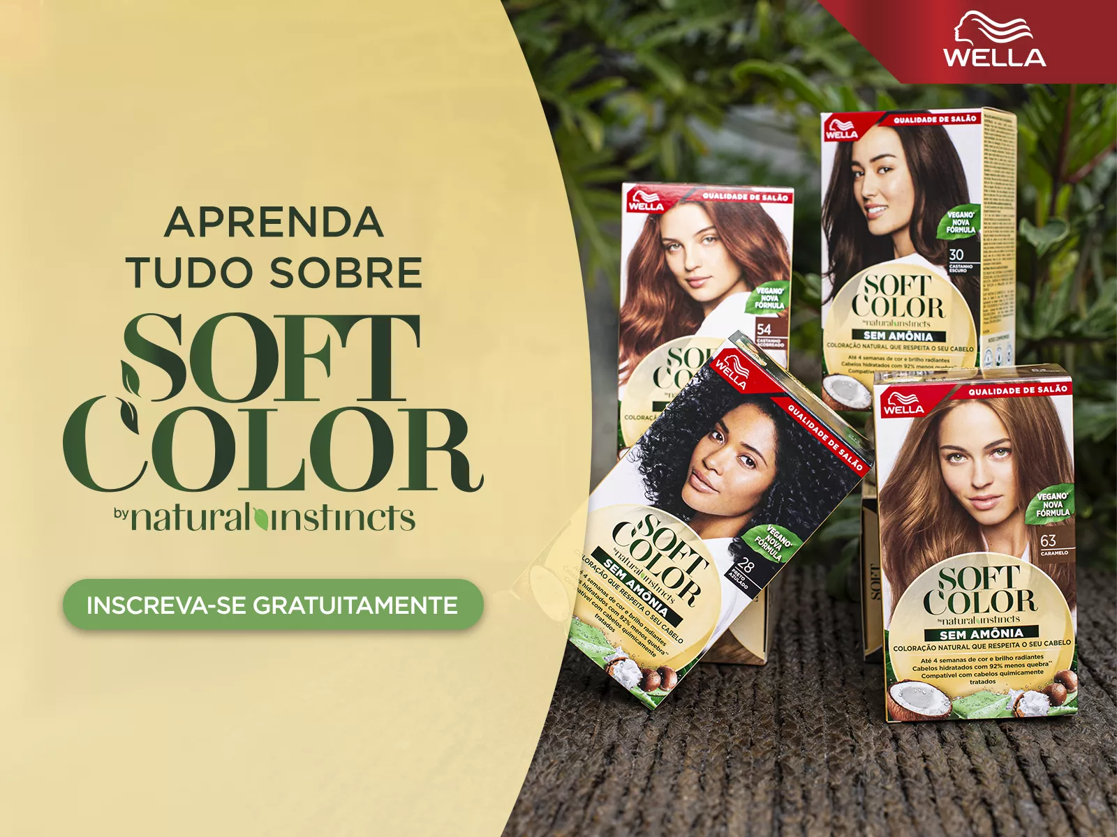Tudo sobre Soft Color